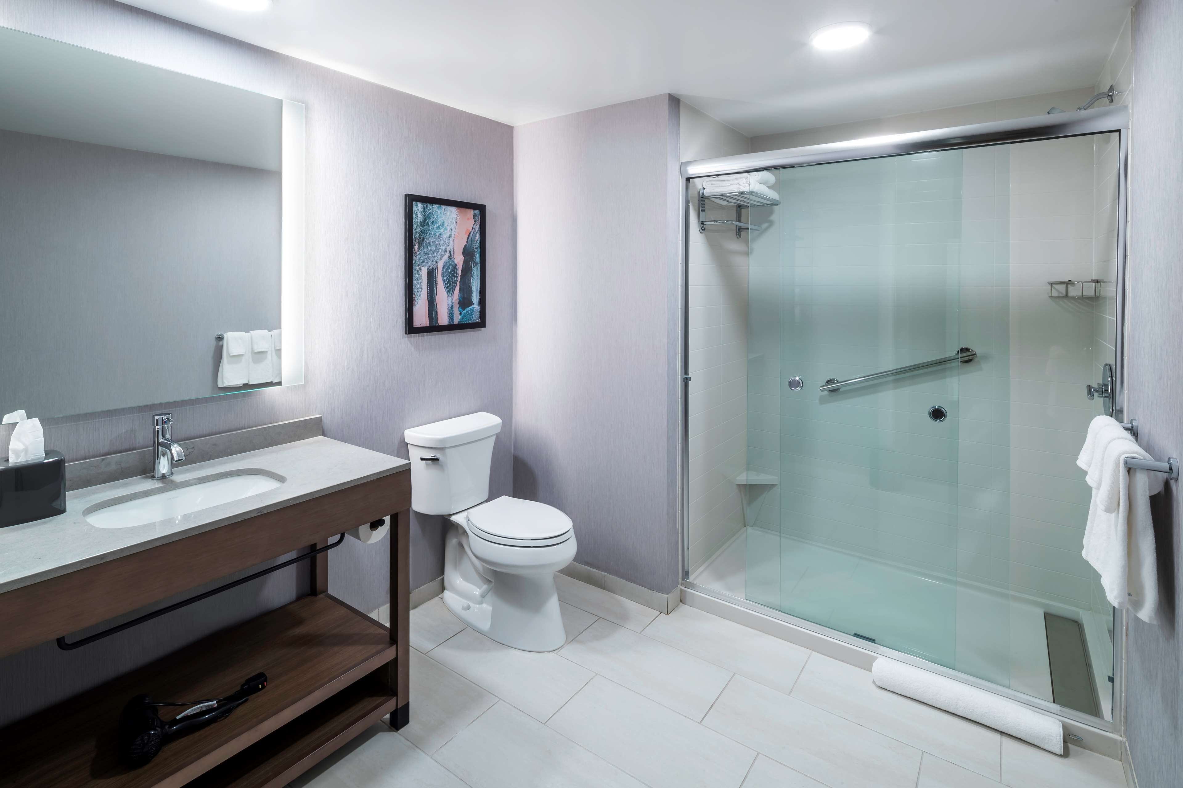 suite, 1 king bed with sofa bed (specialty) | bathroom | combined shower/bathtub, eco-friendly toiletries, hair dryer, towels