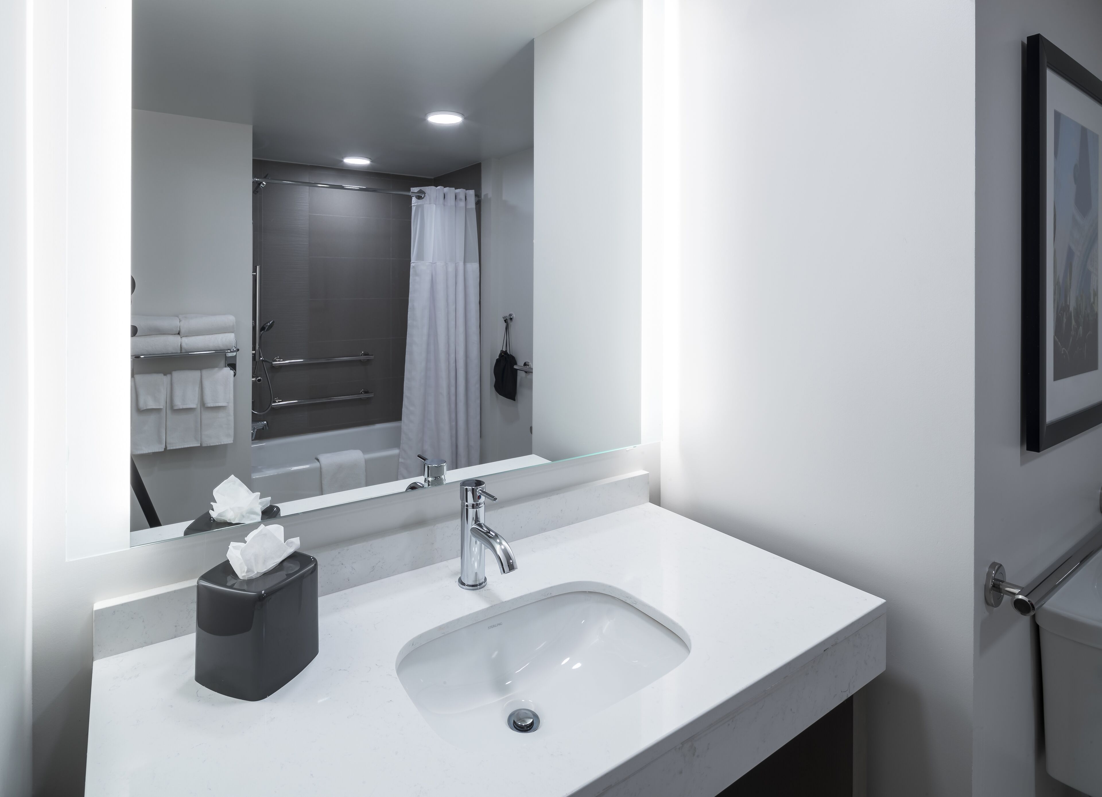 room, 1 king bed, accessible, bathtub (& sofabed) | bathroom sink