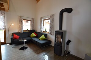 Télévision, cheminée, chaîne hi-fi