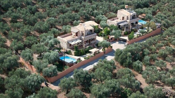 Una villa con piscina, rodeada de olivos, que cuenta con un patio y un pequeño jardín.