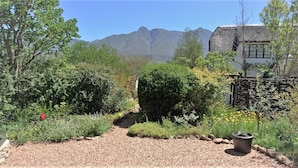 Jardí amb un camí de grava, diverses plantes i un paisatge de muntanya al fons.