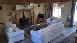 TV, fireplace, DVD player, books