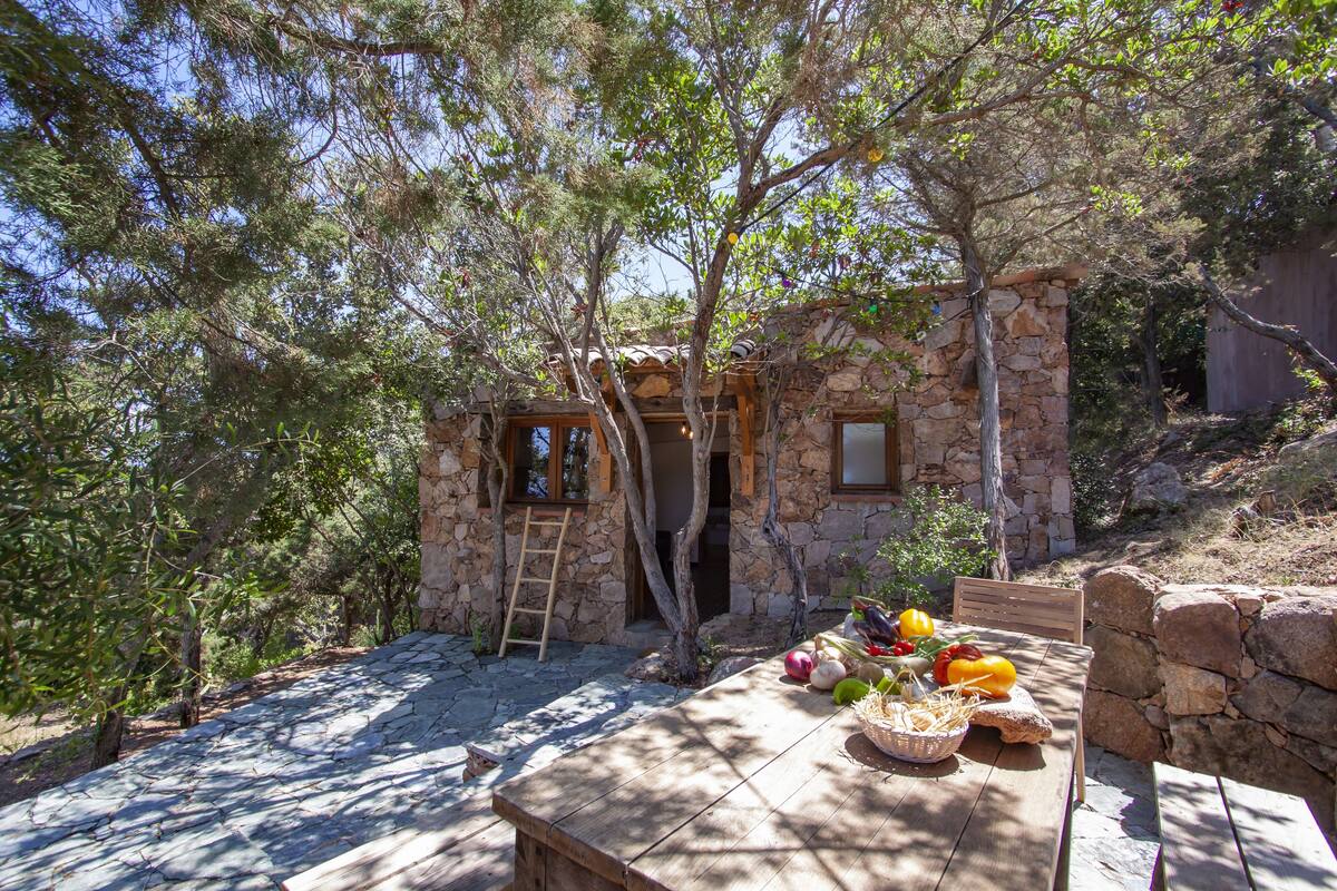 Traditional House (Rocapina) | Terrace/patio