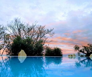 An infinity pool with a clear view of the sky and surrounding trees.