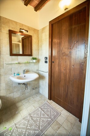 A bathroom with a white sink, a wooden door, a mirror, and a small plant on a shelf. - Villa Panorama (Monte Santa Maria Tiberina)