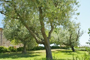Garden - Villa Orizzonte (Todi)