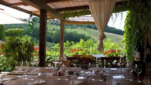 Unclassified image, 4 of 40, button - Fienile (4+2) beautiful apartment with pool in Chianti between Florence and Siena (Tavarnelle Val di Pesa)
