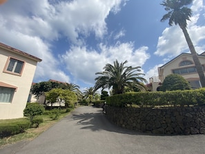 Trädgård