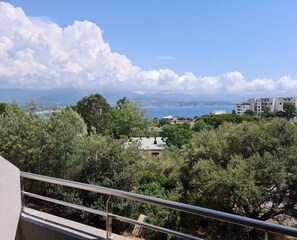 Property grounds - Magnificent T2 parahotelier with 23m2 south-facing terrace and sea view (Ajaccio)