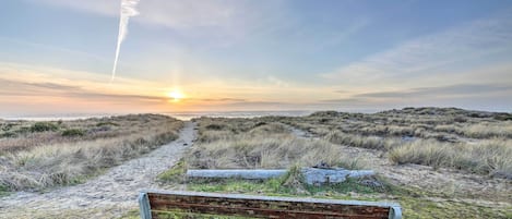 Un banc placé dans un cadre naturel, avec un sentier menant à l’océan et un coucher de soleil en arrière-plan.