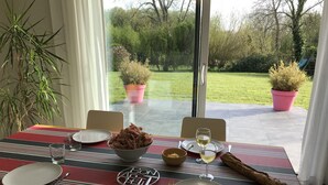A dining table set with plates, glasses, and a bowl of food, overlooking a garden with potted plants and a grassy area.