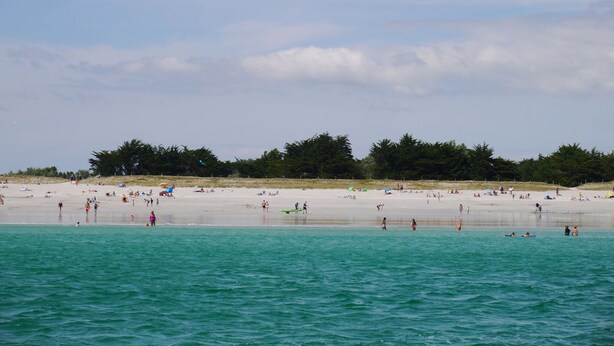 A beach with people swimming and sunbathing, a sandy shore, and a line of trees in the background.
