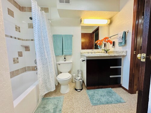 [614.5 A Jenkins]OU-Walk to Campus, Downtown Designer studio, and walking distance to Art and Dinos