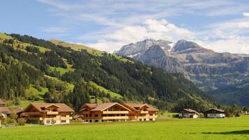 Vue sur les montagnes