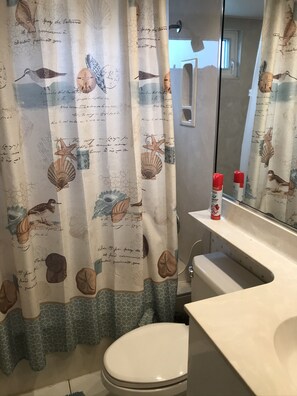 Ensemble douche/baignoire, sèche-cheveux, serviettes fournies, savon