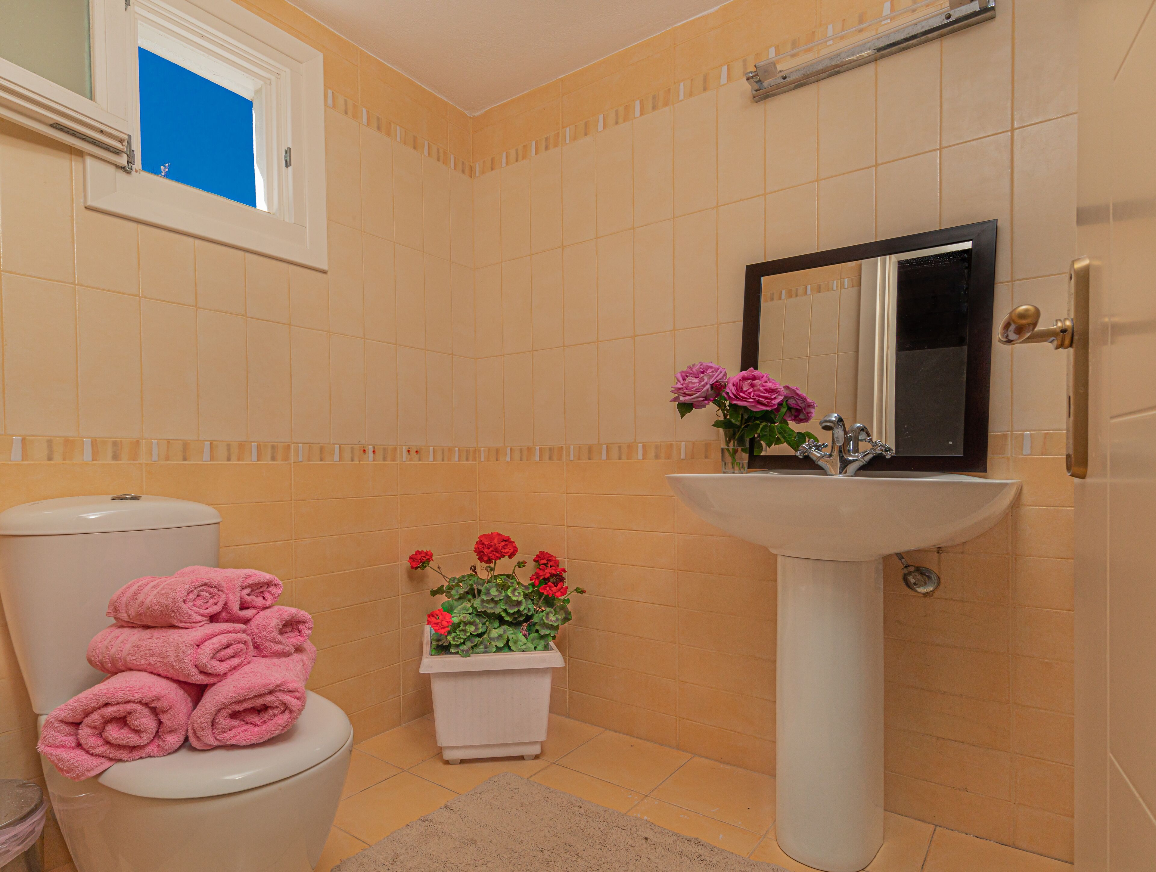 A bathroom with a toilet, sink, and a window.