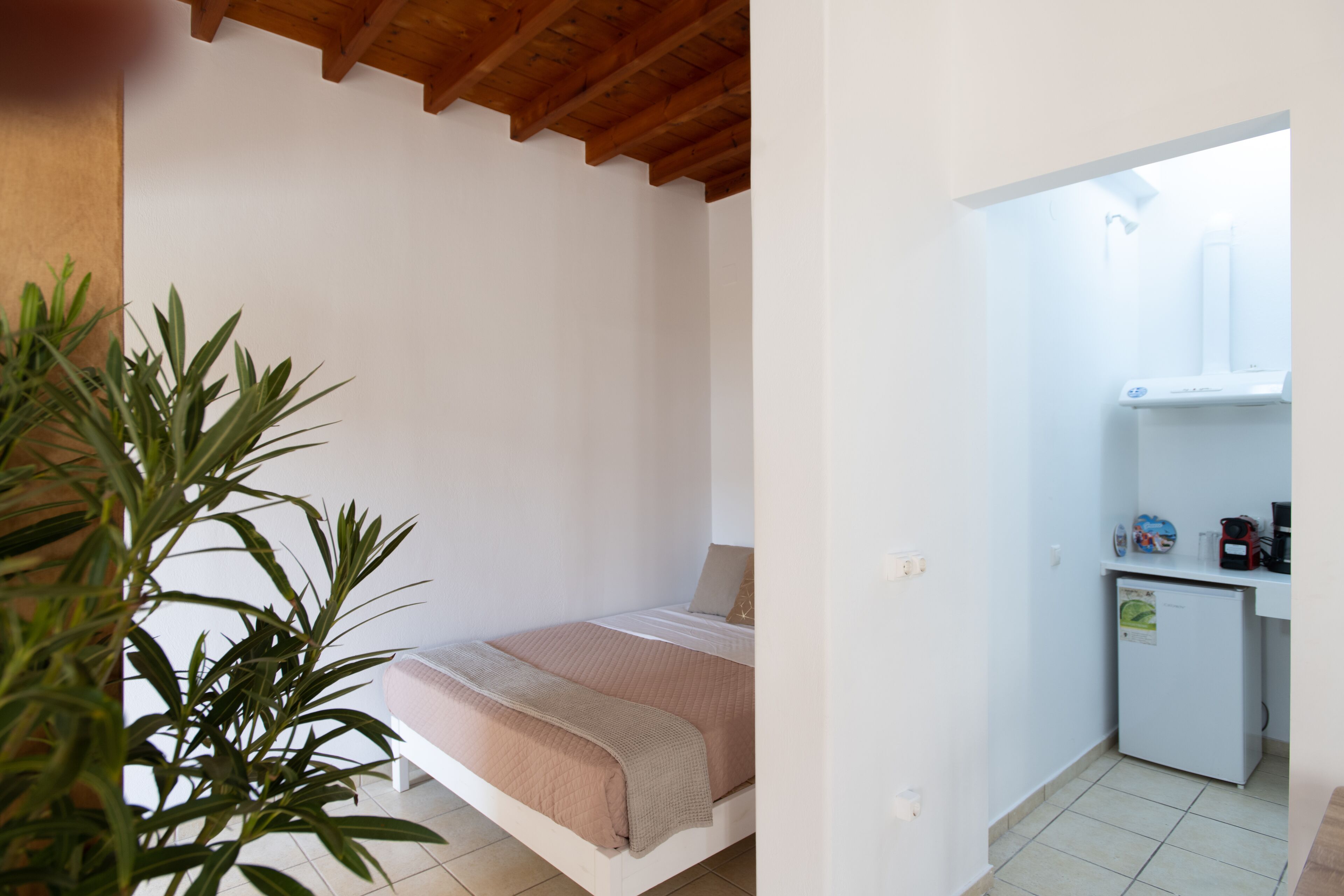 Una habitación pequeña con cama individual, techo de madera, planta en la mesita de noche, un refrigerador pequeño y un lavamanos blanco.