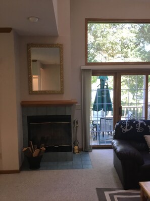 TV, fireplace, books