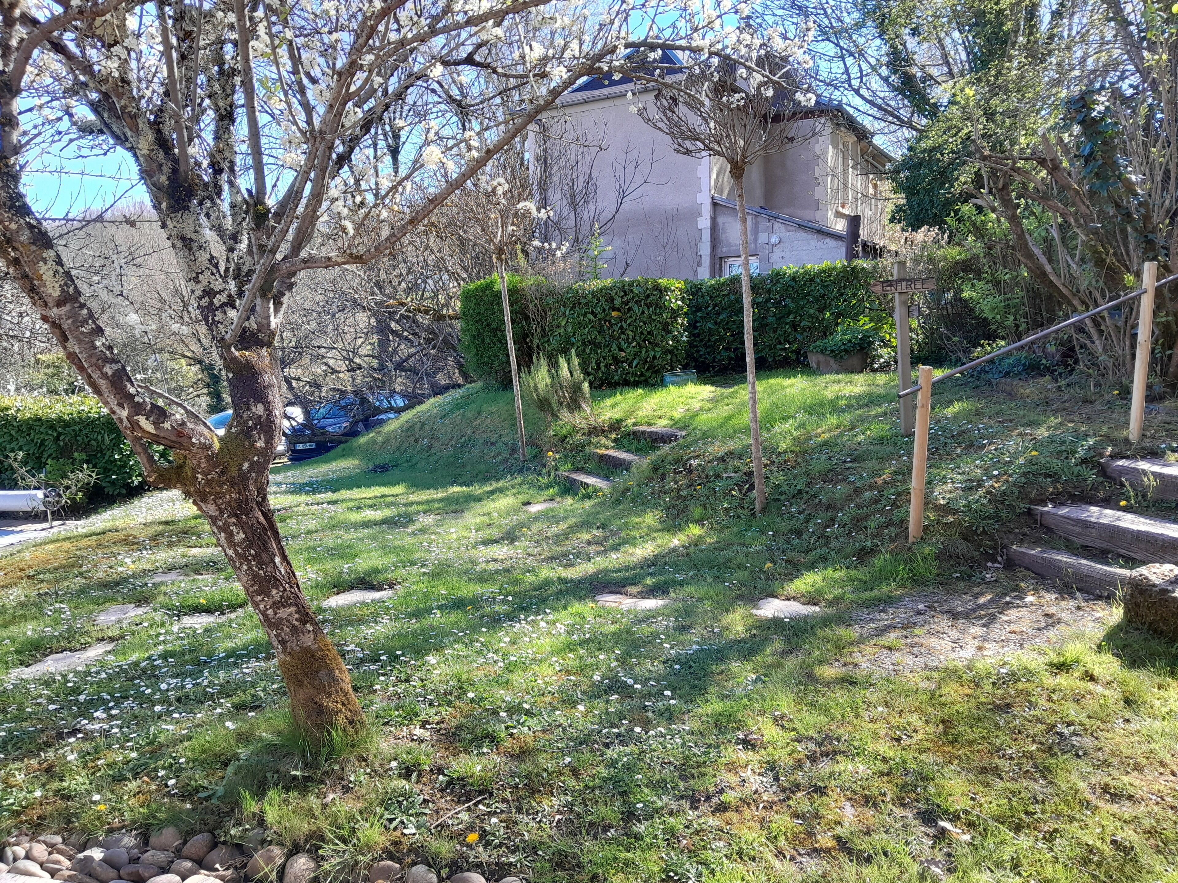 A residential area with a grassy slope, a tree, and a building in the background.