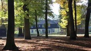 A row of trees with a building in the background. - Herberge zur Herrlichkeit (Dorsten)