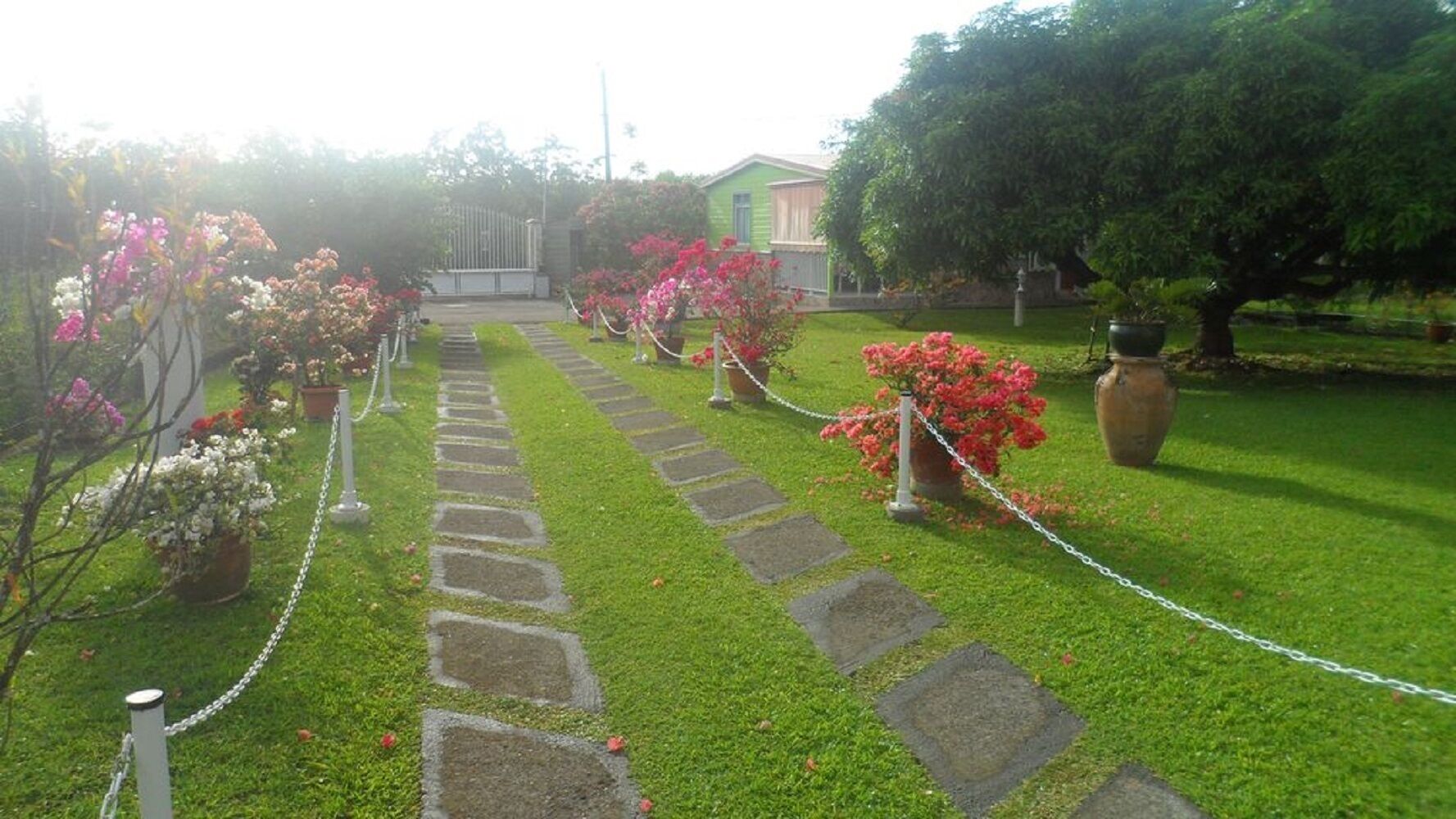 A garden pathway with stepping stones, surrounded by potted plants and a green building in the background.