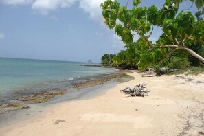 A sandy beach with clear turquoise water, a tree with green leaves, and a small island in the distance. - Nice Apartment F3 - 2 bedrooms- in Sainte Luce, near Anse Mabouyas (Quartier Trois Rivières)