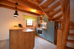 Fridge, oven, stovetop, dishwasher