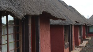 標準木屋, 1 間臥室 | 免費無線上網、床單