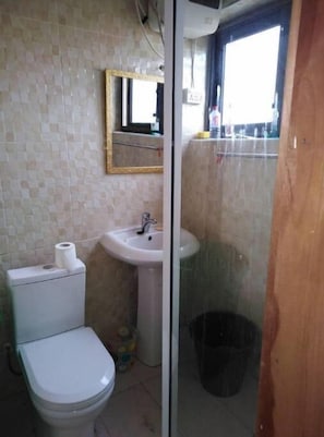 Hair dryer, soap, toilet paper