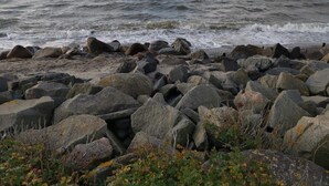 Una costa rocosa con olas rompiendo contra las rocas.