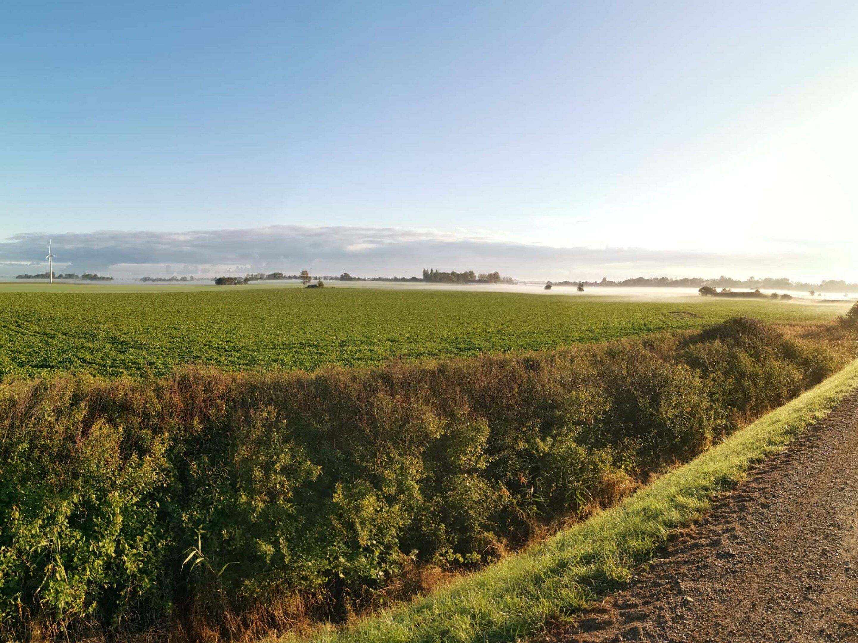 A rural landscape with a clear sky, a dirt path, and green fields.
