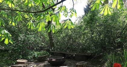 Rustic Holiday Home in Jutland near Sea