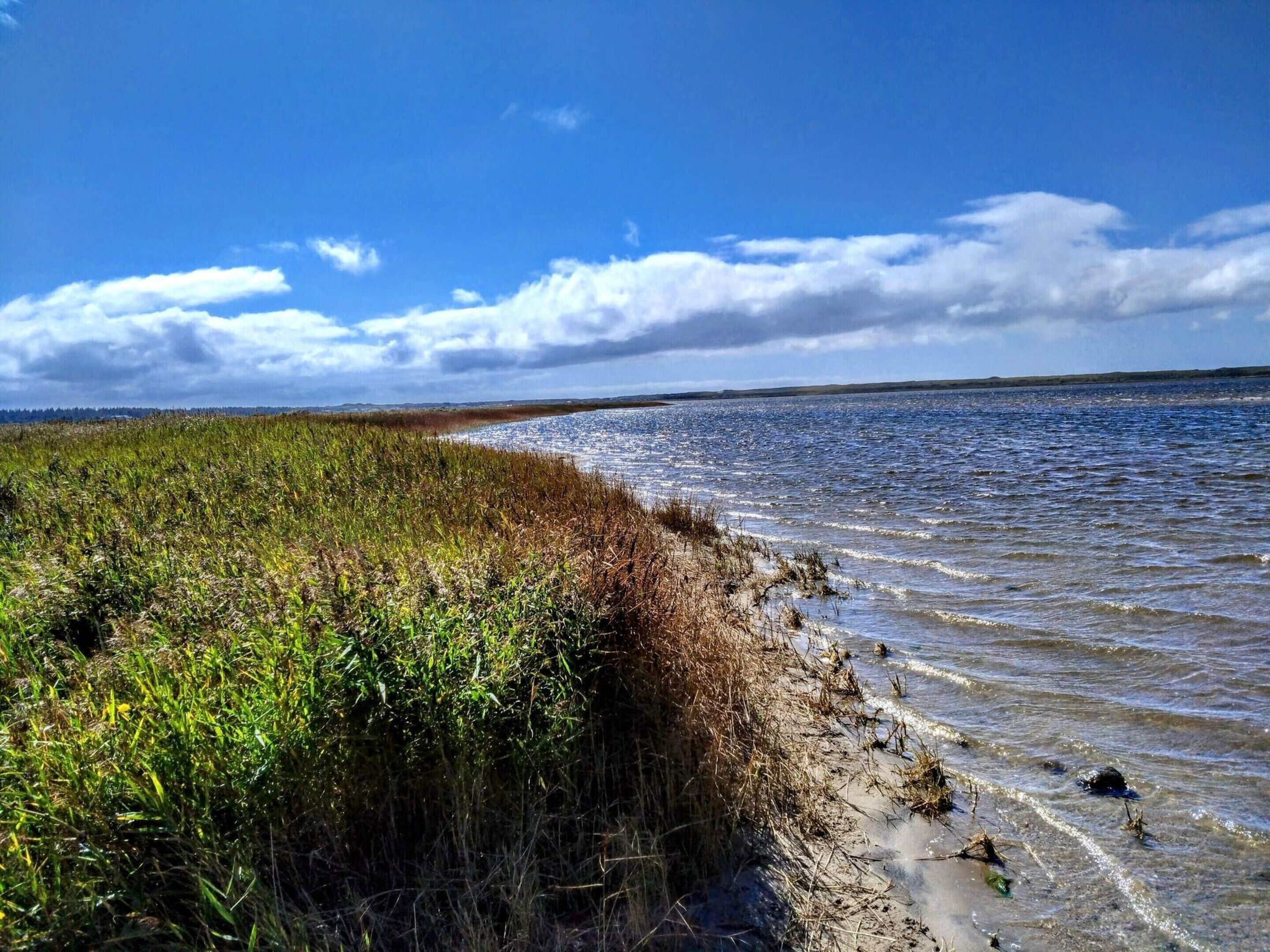 Eine Küstenlandschaft mit klarem Himmel, einem Gewässer und einer Wiese.