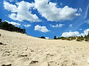 House | Beach - 8 Person Holiday Home in Borkop (Borkop)