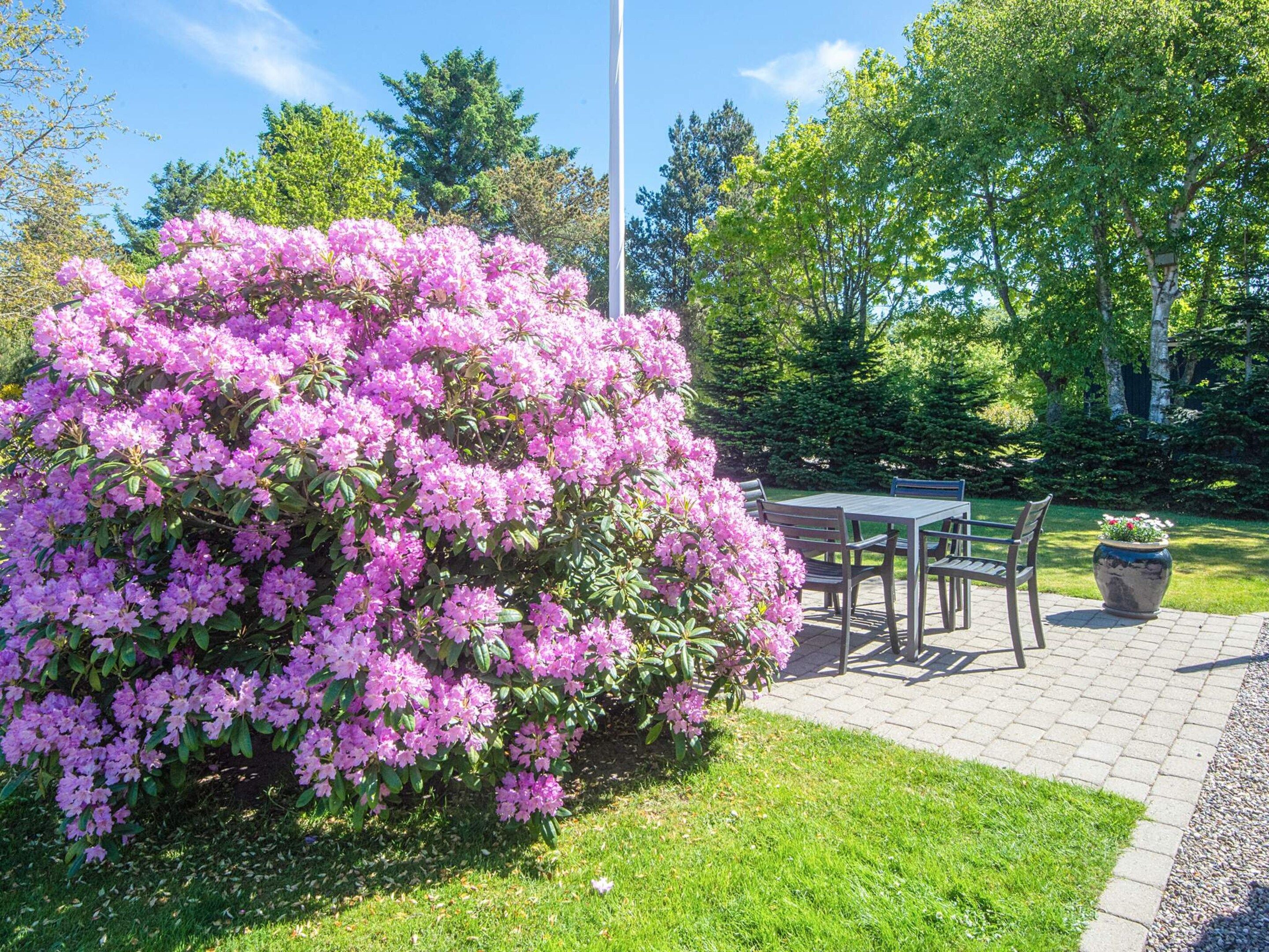 A garden with a table and chairs, a large bush with pink flowers, and a flagpole.