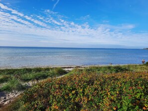 Eine Küstenlandschaft mit blauem Himmel, sandigem Strand und dichter Vegetation.