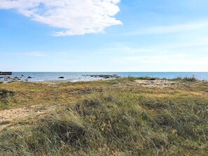A beach with a wooden bench and grassy dunes. - 6 Person Holiday Home in Heberg (Heberg)
