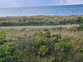 独立别墅 | 海滩