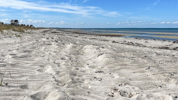 A sandy beach with footprints and sparse vegetation. - 4 Star Holiday Home in Glesborg (Glesborg)