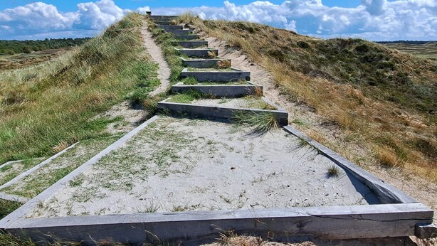 Un camino que asciende con escalones de concreto y césped a ambos lados.
