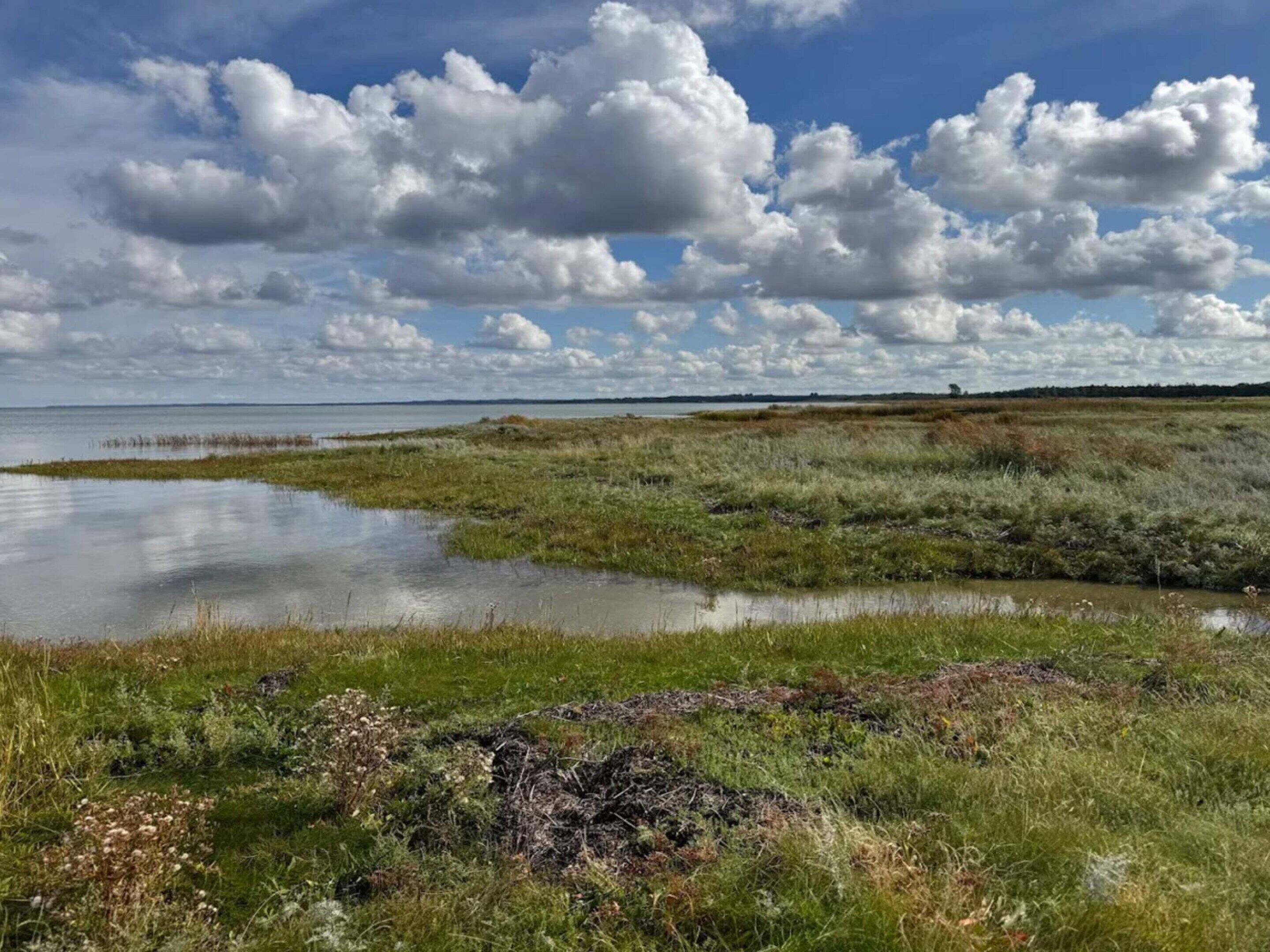 Utsikt mot vann