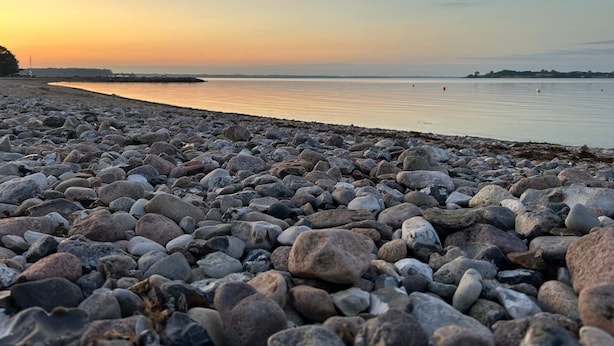 A pebbled beach with calm water and a clear sky. - 4 Star Holiday Home in Aabenraa (Aabenraa)