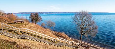 House | Property grounds