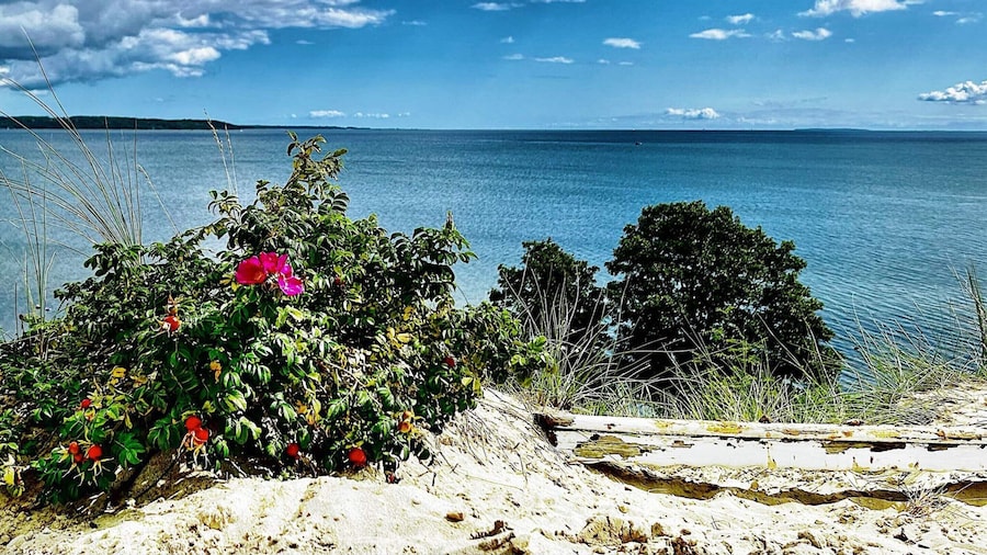 4 Star Holiday Home in Borkop