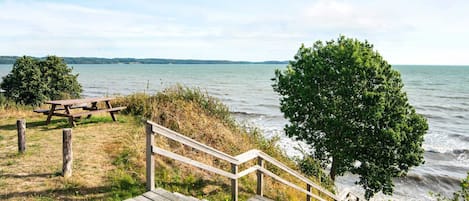 House | Property grounds