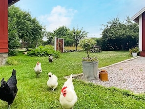 Hus | Exteriör