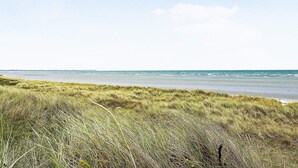 A beach with grassy dunes and a clear view of the ocean.
