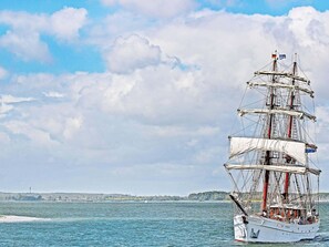 House | Miscellaneous