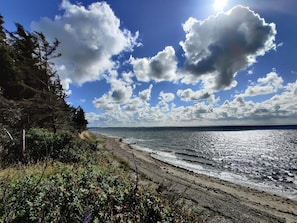 A beach with a clear sky, ocean waves, and dense forest. - 4 Star Holiday Home in Spottrup (Spøttrup)