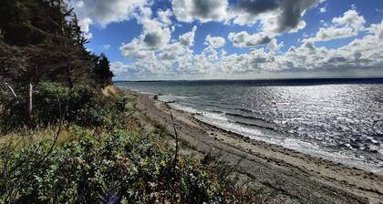 4 Star Holiday Home in Spottrup